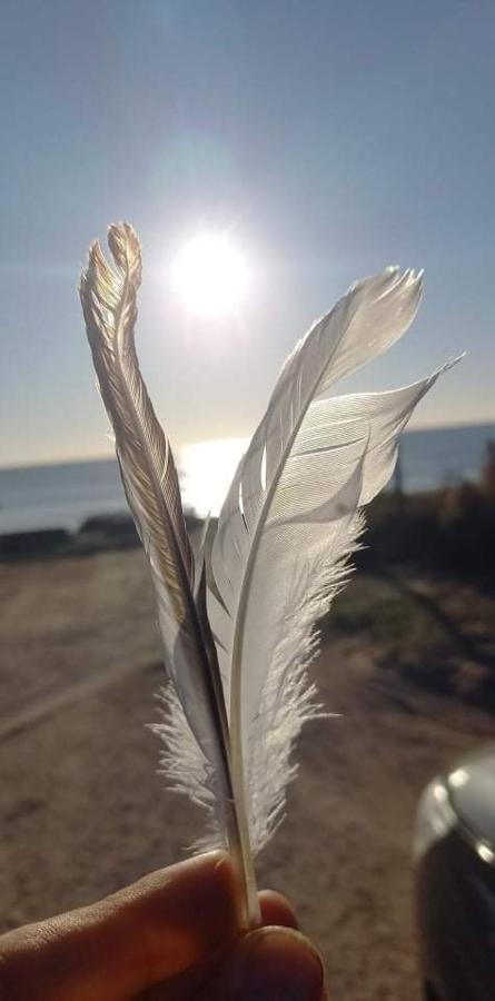 En Plein Coeur De L'Ile D'Oleron, Suite Parentale. Dolus d'Oléron Exteriér fotografie
